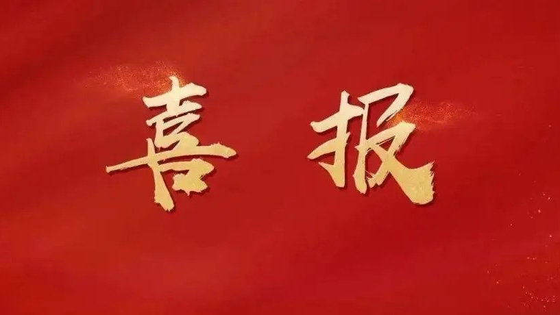 喜報(bào)|法騰電力入選2022年上海市“專精特新”企業(yè)！
